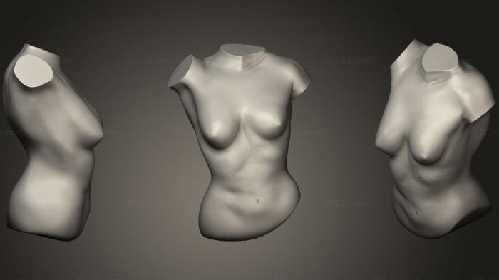 Анатомия скелеты и черепа (Женский торс, ANTM_1115) 3D модель для ЧПУ станка
